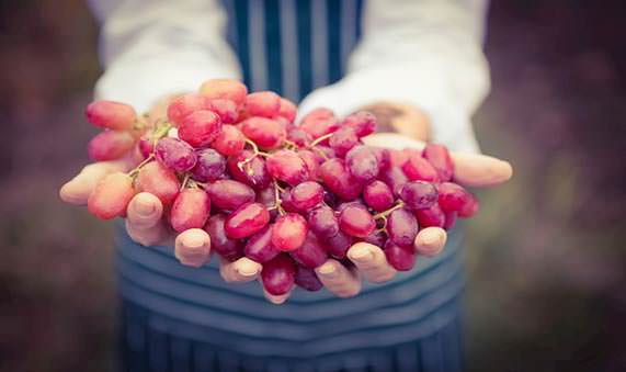 Damar sağlığı için neler yemelisiniz?