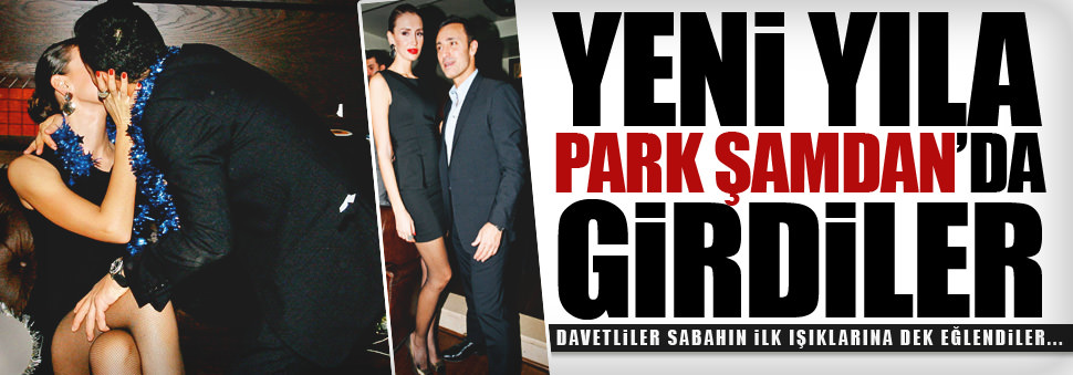 Yeni yıla Park Şamdan'da girdiler