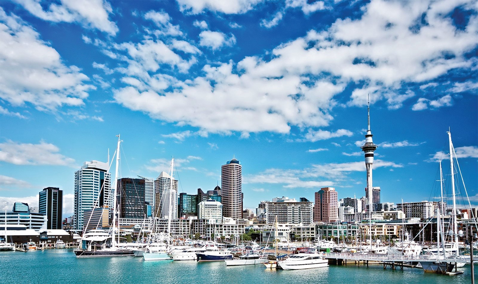 Adaların üzerine kurulan yelken şehri Auckland