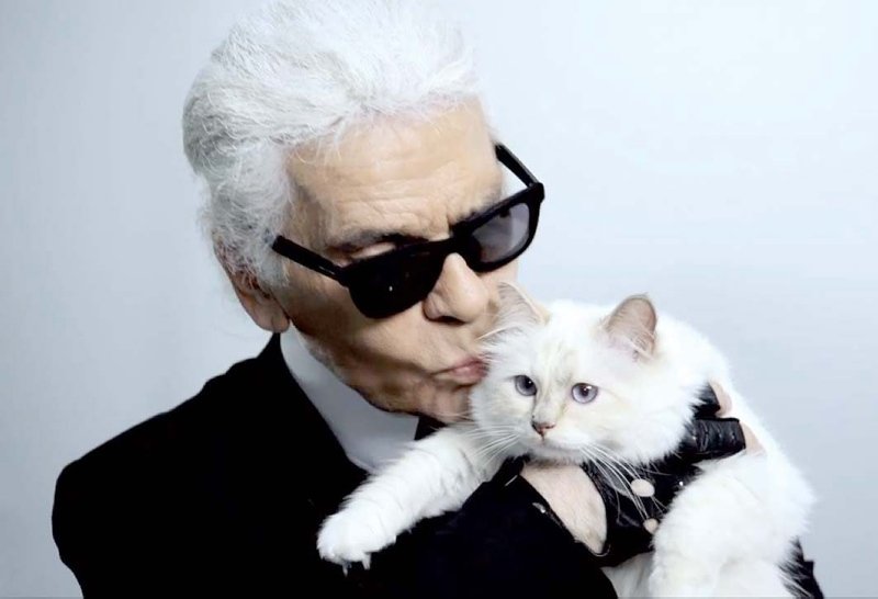 Karl Lagerfeld, mirasını kedisine mi bıraktı?