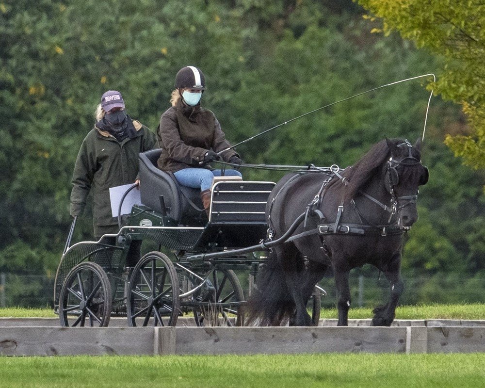 Leydi Louise Windsor, at arabası kullanma derslerine başladı