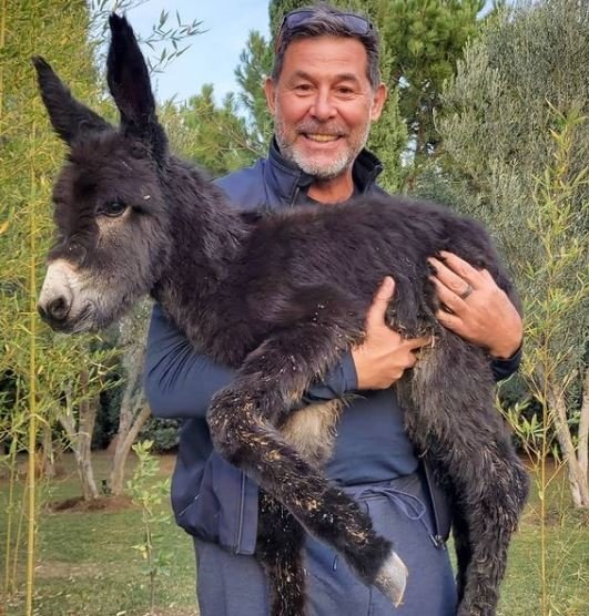 'Kömür' sıpamız doğuverdi