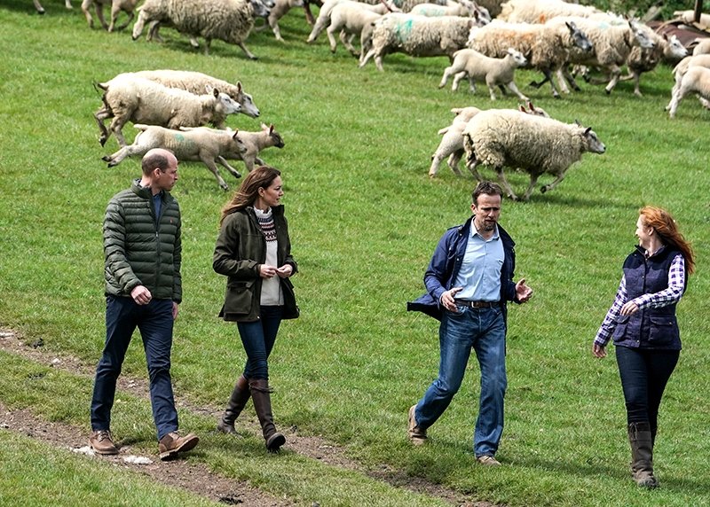 Prens William ve Kate Middleton'ın çiftlik ziyareti
