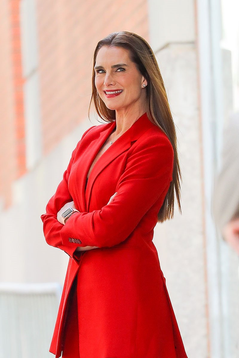 Brooke Shields evini 8 milyon dolara satıyor