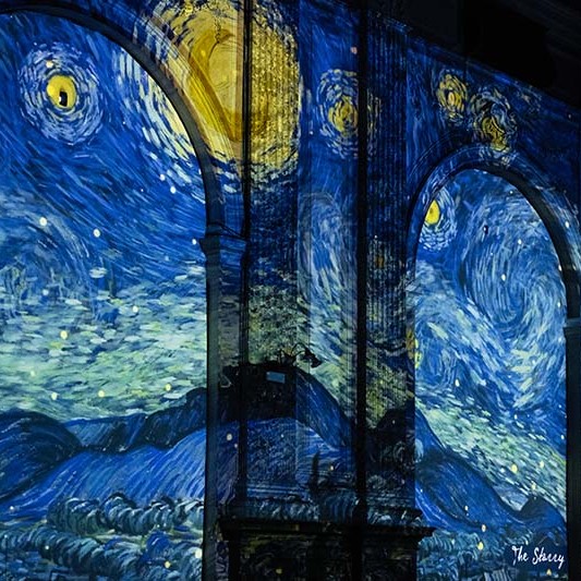 Van Gogh sergisi adeta büyüledi