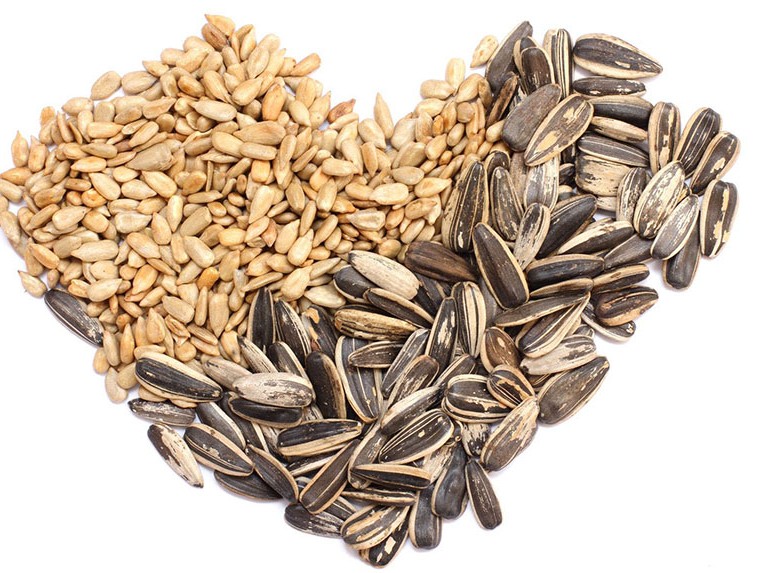 Magnezyumun faydaları nelerdir?