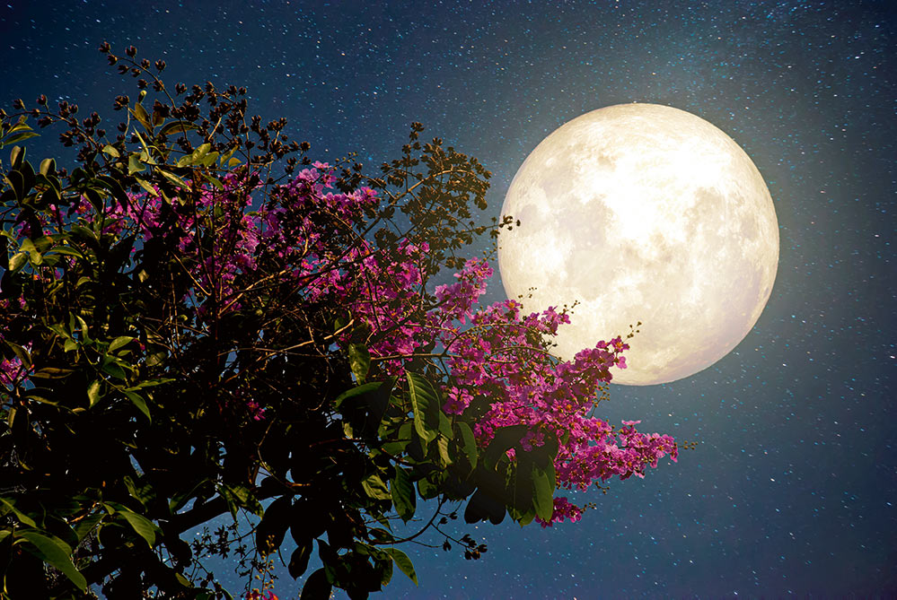 Astrolojiye göre ‘bu yaz’ hangi tarihte nereye gitmeli?